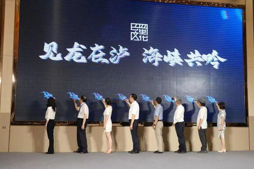 見龍在瀘 海峽共吟 2024海峽兩岸巴蜀文化藝術季中華龍文化研討會暨創意設計大賽在四川瀘縣啟動